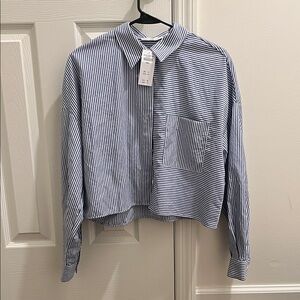 Abercrombie & Fitch Cropped Striped Button Down Shirt